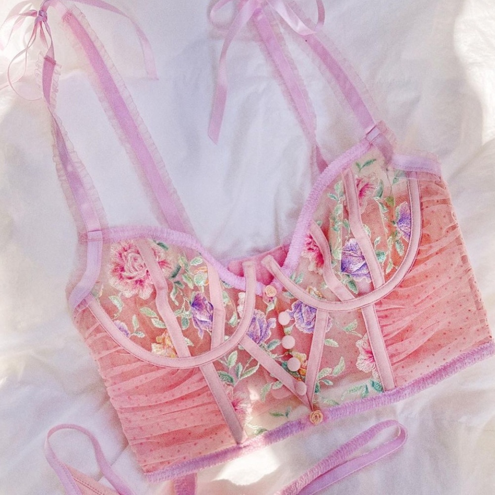 🍋 Pastel Watercolor Rose Bustier. For Love and Lemons
